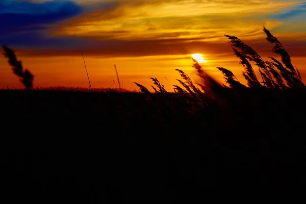 Coucher de soleil dans la steppe. — Photo