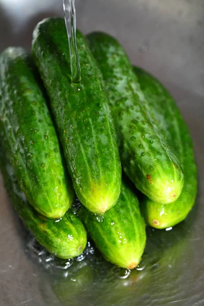 Lavare Cetriolo Metallo Lavello Sotto Getto Acqua Primo Piano — Foto Stock