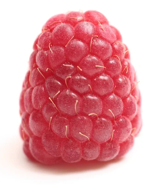 Ripe Raspberry White Background Close — Stock Photo, Image