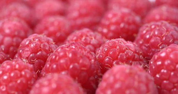 Fresh Sweet Raspberries Background Shallow Dof — Stock Photo, Image