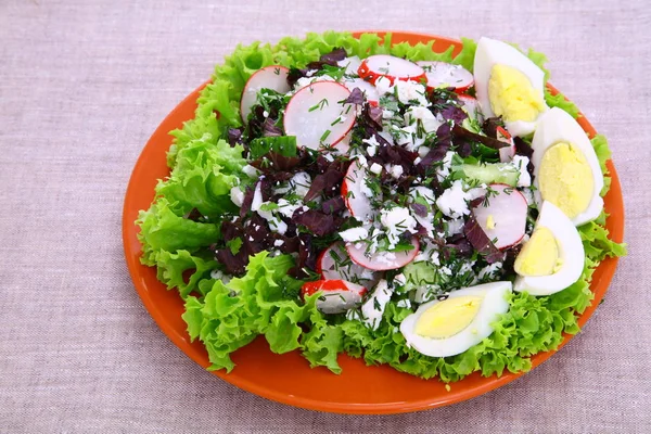 Salade Avec Radis Œufs Fenouil Concombres — Photo