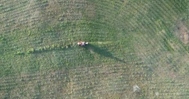 Een luchtfoto van een man die zijn gazon met een maaier Paardrijden te snijden. — Stockvideo