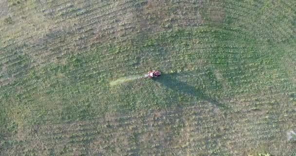 Uma vista aérea de um homem cortando seu gramado com um cortador de grama . — Vídeo de Stock