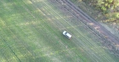 Araba buğday sahaya sürmek. Yaz alan, çayır, kırsal kirli kırsal yolda. Buğday alan offroad araç. 4k, Uhd.