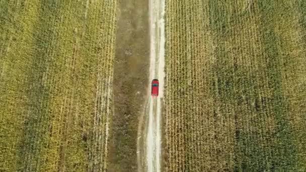 Snel gaan langs het schilderachtige platteland en de agro-aarde — Stockvideo