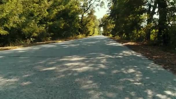 Een Pov schot van een auto naar beneden een landelijke weg omzoomd met bomen — Stockvideo