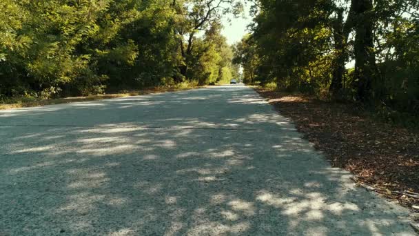 Een Pov schot van een auto naar beneden een landelijke weg omzoomd met bomen — Stockvideo