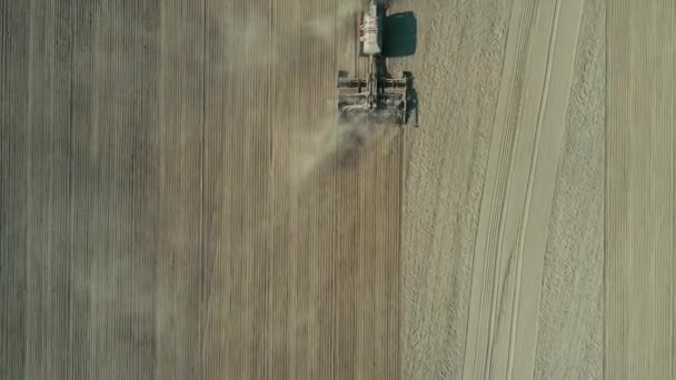 Aerial: Lonely tractor plow the wheat field — Stock Video