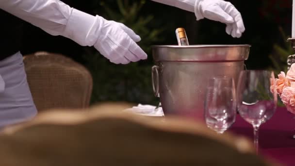 De ober brengt champagne — Stockvideo