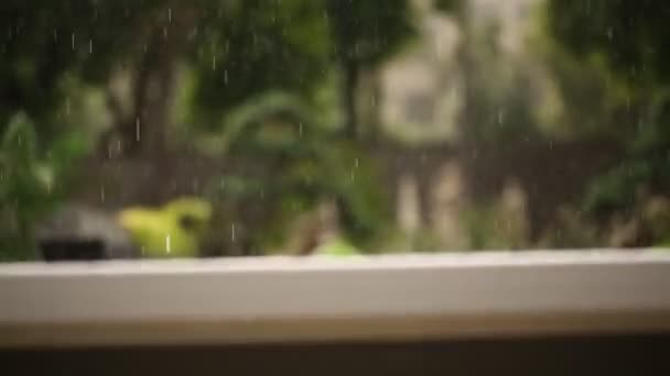 Déšť v prázdné parku — Stock video