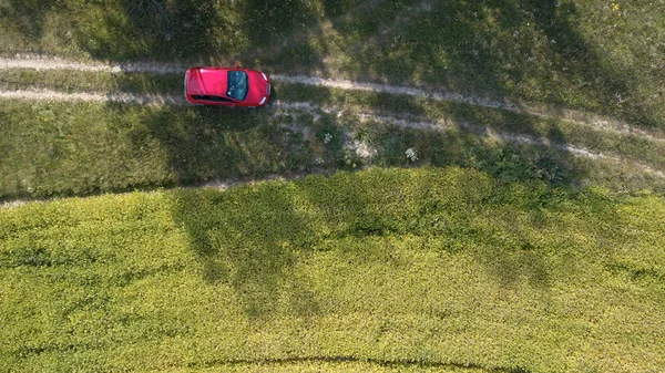 緑の小麦と つの大きなフィールドの間の道の車ドライブ 農業景観 — ストック写真