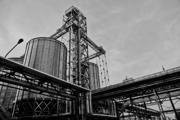 Moderne silo's voor het opslaan van de graanoogst. Landbouw. Achtergrond. — Stockfoto