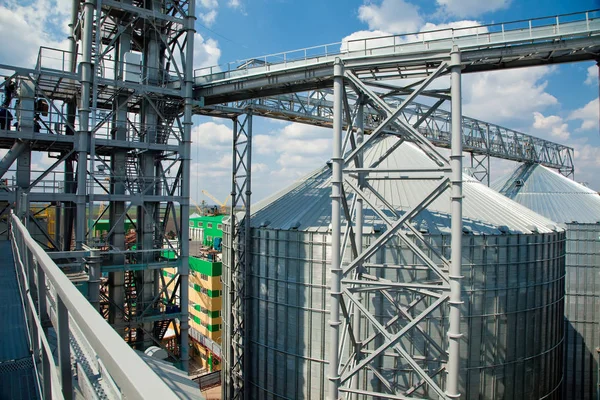 Moderne silo's voor het opslaan van de graanoogst. Landbouw. Achtergrond. — Stockfoto