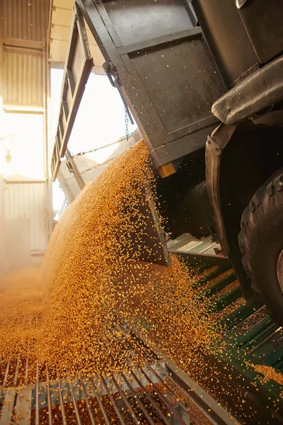 Sac de silo dans une ferme avec clôture et champ. Paysage rural, image de la campagne, secteur agricole . — Photo