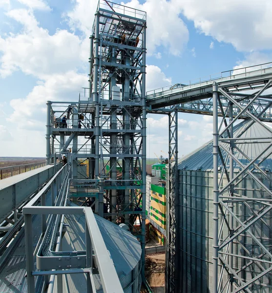 Moderne silo's voor het opslaan van de graanoogst. Landbouw. Achtergrond. — Stockfoto