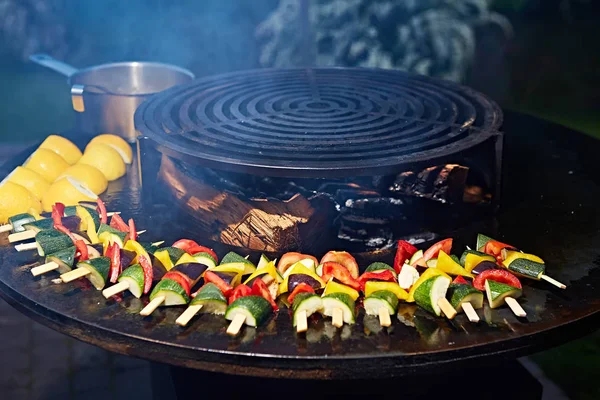 The freshly grilled vegetables. Shallow dof — Stock Photo, Image