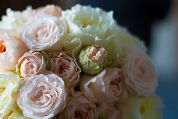 Verano floreciendo rosas delicadas sobre flores florecientes fondo festivo —  Fotos de Stock