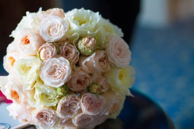 Yaz çiçek açması narin gül çiçek açan çiçek şenlikli arka plan üzerinde