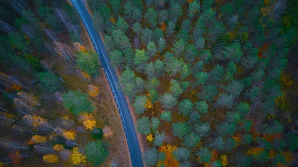 Дорога в кольоровому осінньому лісі вигляд з повітря . — стокове фото