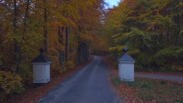 Herfst Bos Bos Met Landweg Bij Zonsondergang Kleurrijk Landschap Met — Stockvideo