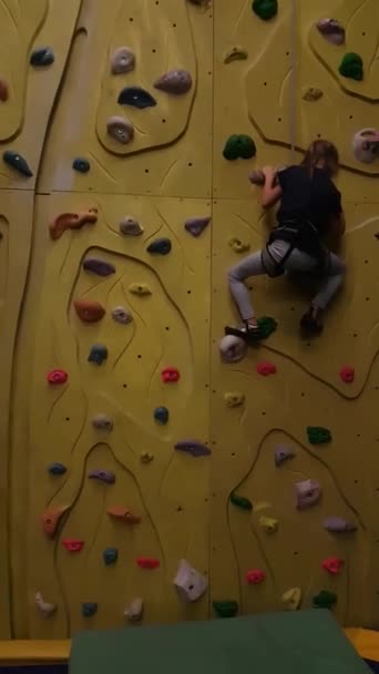 युवा लड़की, 7 साल की उम्र, एक चढ़ाई दीवार पर चढ़ाई . — स्टॉक वीडियो