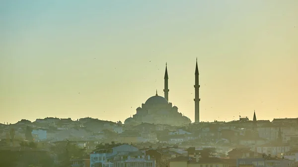 Silhuetten av en moskén Fatih i en dimma och solljus reflektioner. Vintage stil. — Stockfoto