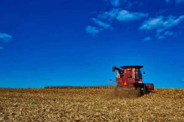 La cosecha de los campos de maíz con combinar —  Fotos de Stock