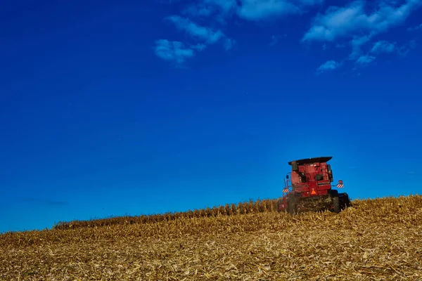 La raccolta dei campi di mais con combinare — Foto Stock