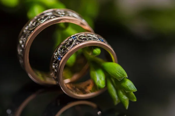Dos anillos de boda en signo de infinito. Concepto de amor . —  Fotos de Stock