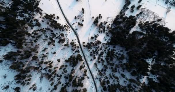 Vista panorâmica de montanhas nevadas com grandes árvores verdes na neve. Vista de olhos de aves da flora selvagem em montanhas ucranianas dos Cárpatos — Vídeo de Stock