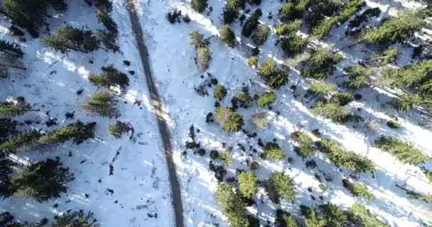Зимняя проселочная дорога в заснеженном лесу, вид с воздуха с дрона в 4k . — стоковое видео