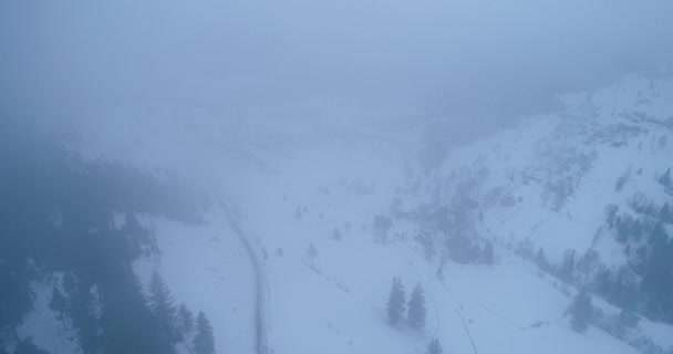 Hava: ülke yol karanlık ürpertici alanlarından korkunç kırık çıplak ağaçlarıyla sisli karanlık üzerinde bir kış günü lider — Stok video
