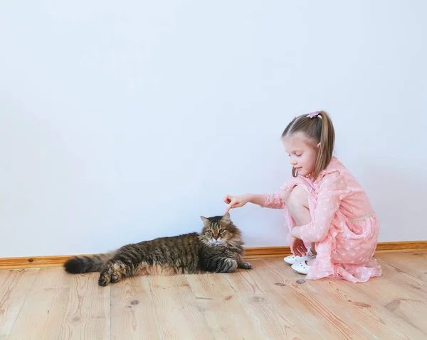 Meisje met kat thuis spelen — Stockfoto