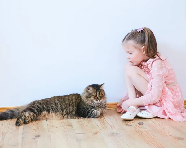 Malá dívka si hraje s kočkou doma — Stock fotografie