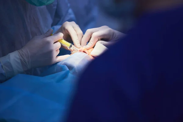 Медицинская команда, выполняющая хирургическую операцию в современной операционной — стоковое фото