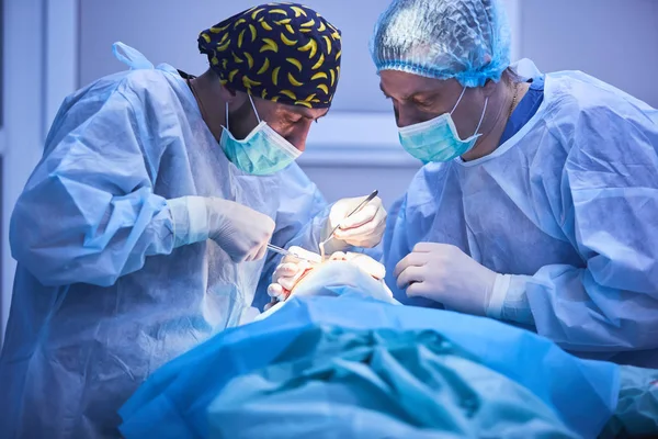 Хирургическая команда, выполняющая операции в современном операционном зале, команда врачей, концентрирующаяся на пациенте во время операции, команда врачей, работающих вместе во время операции в операционной — стоковое фото