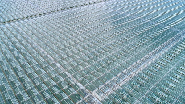 Aerial photo of greenhouses shot from above. — Stock Photo, Image