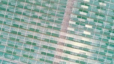 Hava veya en iyi şut bir sera yukarıda. Doğal ve taze sebze organik tarımı.