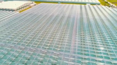 Hava veya en iyi şut bir sera yukarıda. Doğal ve taze sebze organik tarımı.