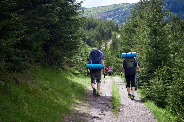 Adventure, travel, tourism, hike and people concept - group of friends walking with backpacks from back — Stock Photo, Image