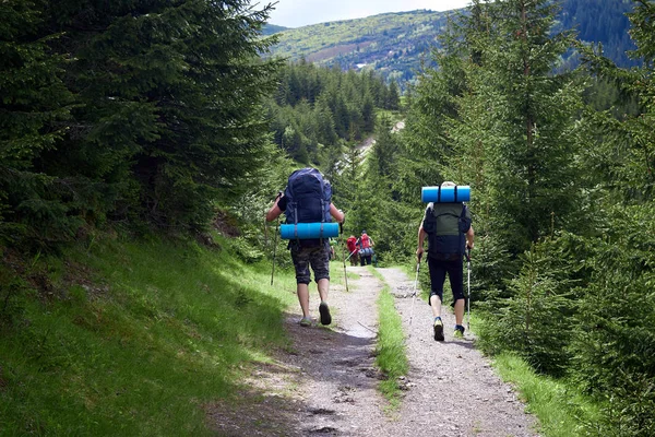 Adventure, travel, tourism, hike and people concept - group of friends walking with backpacks from back — Stock Photo, Image