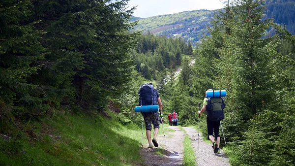 Adventure, travel, tourism, hike and people concept - group of friends walking with backpacks from back — Stock Photo, Image