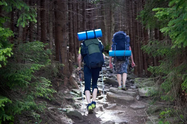 Vista trasera de los turistas con mochilas están escalando por un sendero rocoso en un bosque de montaña . — Foto de Stock