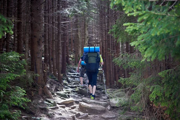 Vista trasera de los turistas con mochilas están escalando por un sendero rocoso en un bosque de montaña . — Foto de Stock
