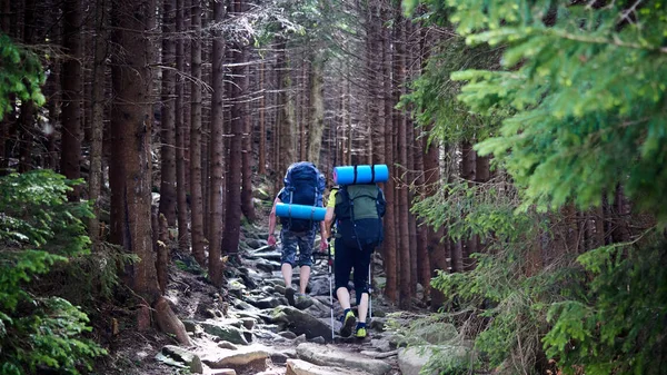 Vista trasera de los turistas con mochilas están escalando por un sendero rocoso en un bosque de montaña . — Foto de Stock