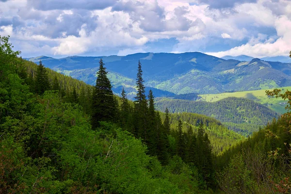 清晨的光线下，农场周围有明亮的起伏的乡村。如画的一天和华丽的场景。位置位置 喀尔帕西亚， 乌克兰， 欧洲.概念生态保护。探索世界之美 — 图库照片