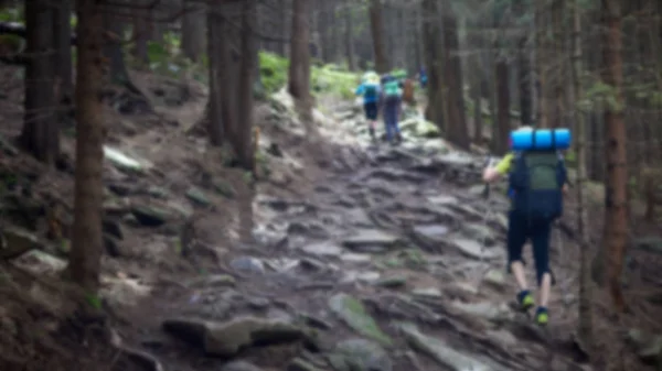 Vista trasera borrosa de los turistas con mochilas están escalando por un sendero rocoso en un bosque de montaña . — Foto de Stock