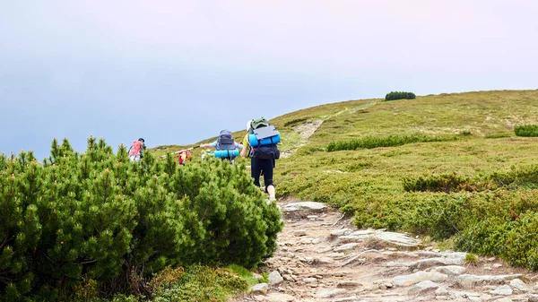 The group of hikers walking in mountains — Stock Photo, Image