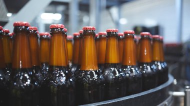 Konveyör bandında bira şişeleri. Sığ DOF. Seçici odak.