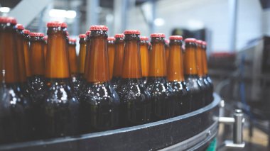 Konveyör bandında bira şişeleri. Sığ DOF. Seçici odak.